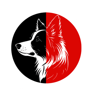 The K9 Leaders